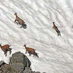 Apartmán Le Grand Cap Tignes